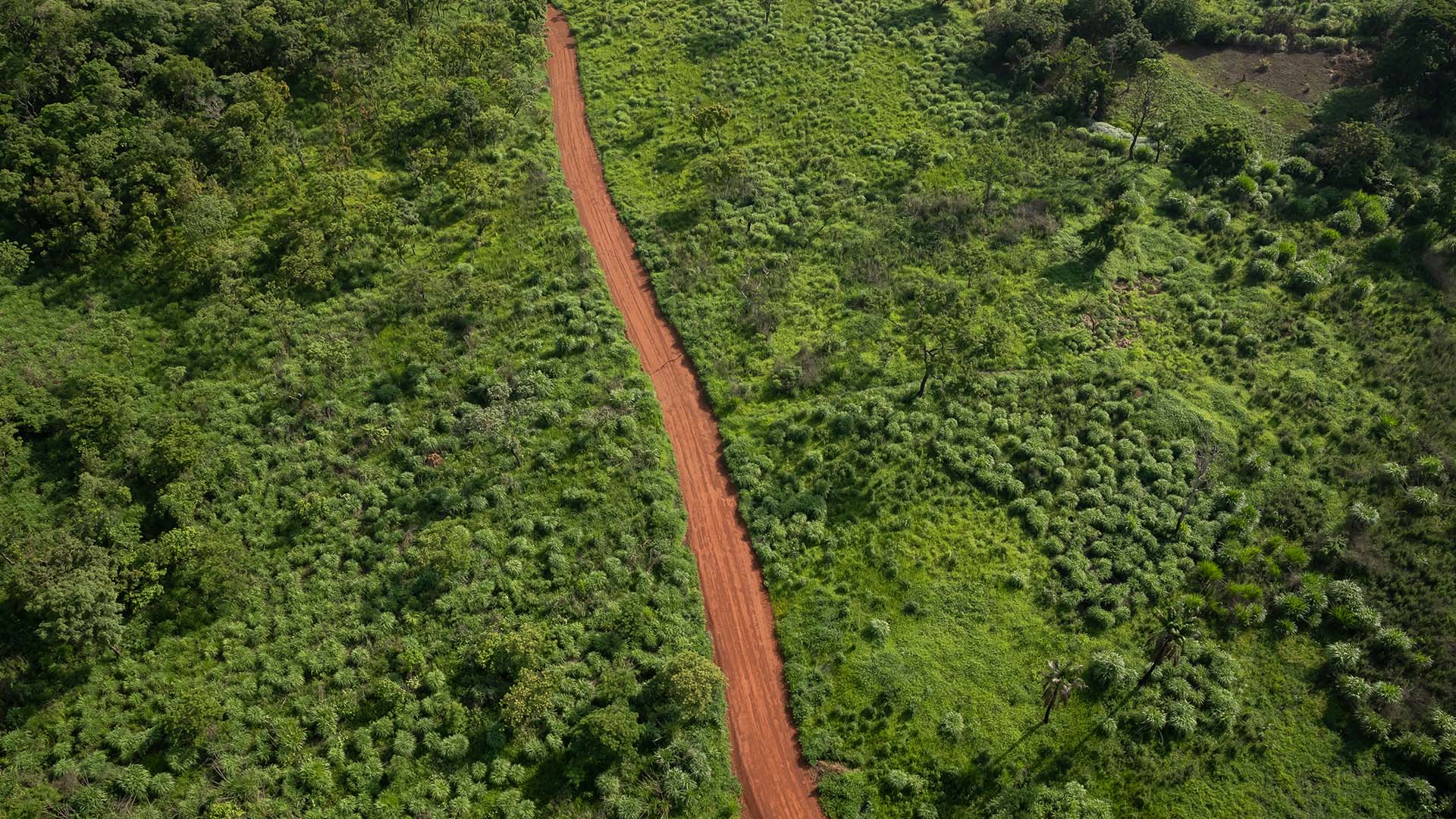 Aerial photo of dirt road leading from Pic de Fon to Beyla Camp, Simandou, Guinea
