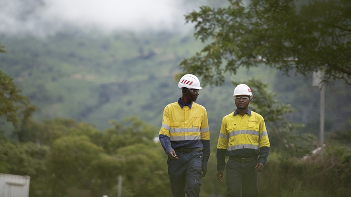 Employees at Simandou