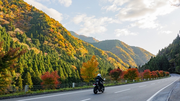 Motorcycle on the road