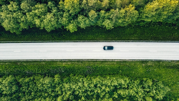 Road cutting through forest