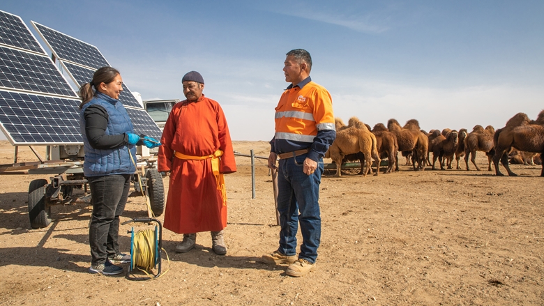 Camels, Oyu Tolgoi