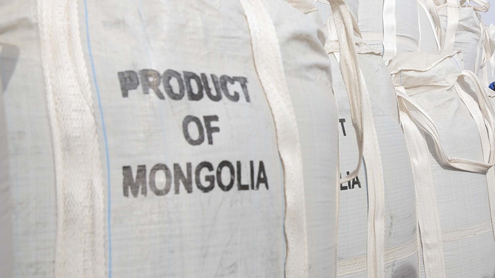 Product of Mongolia banner