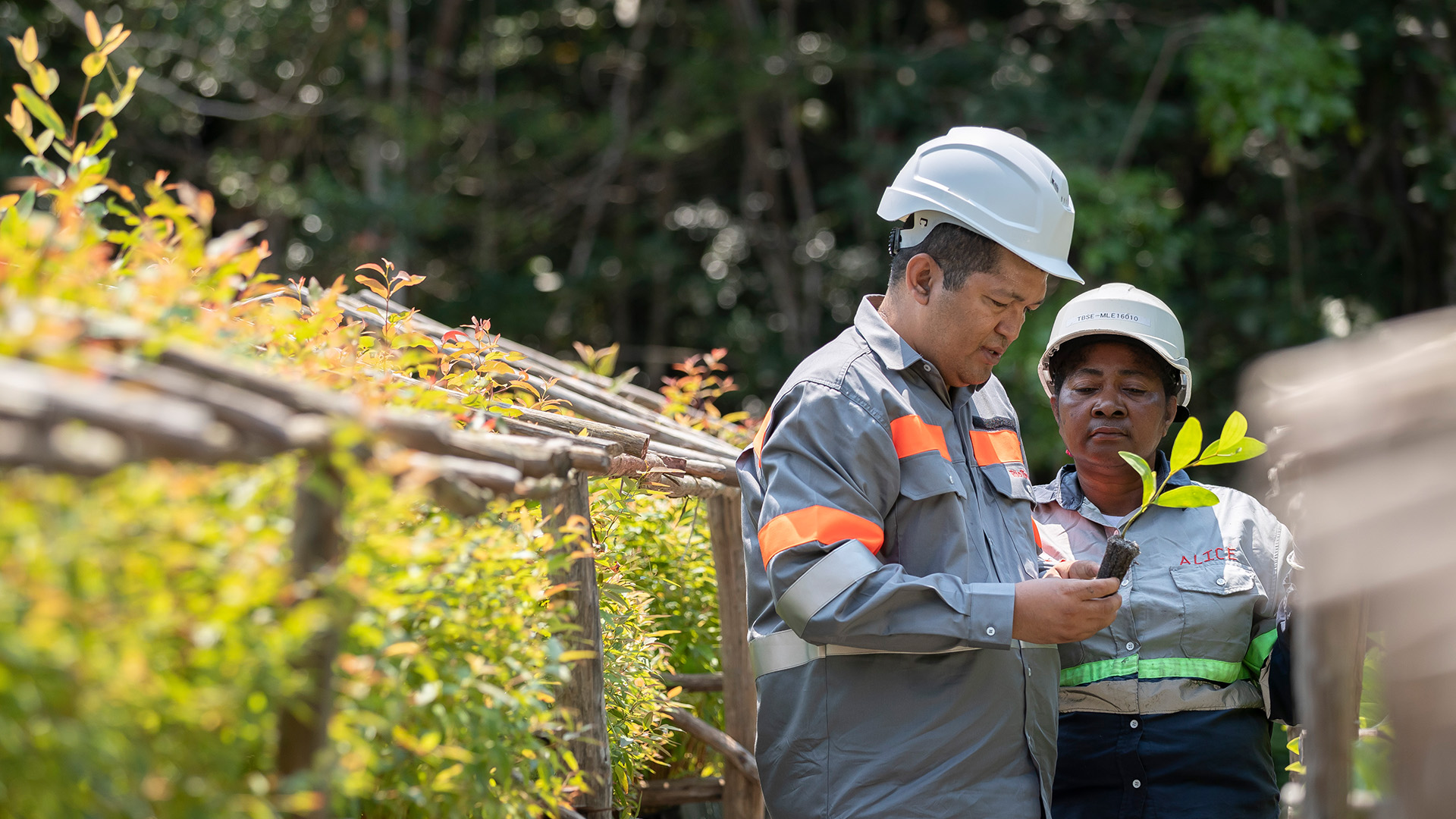 QIT Madagascar Mineral employees