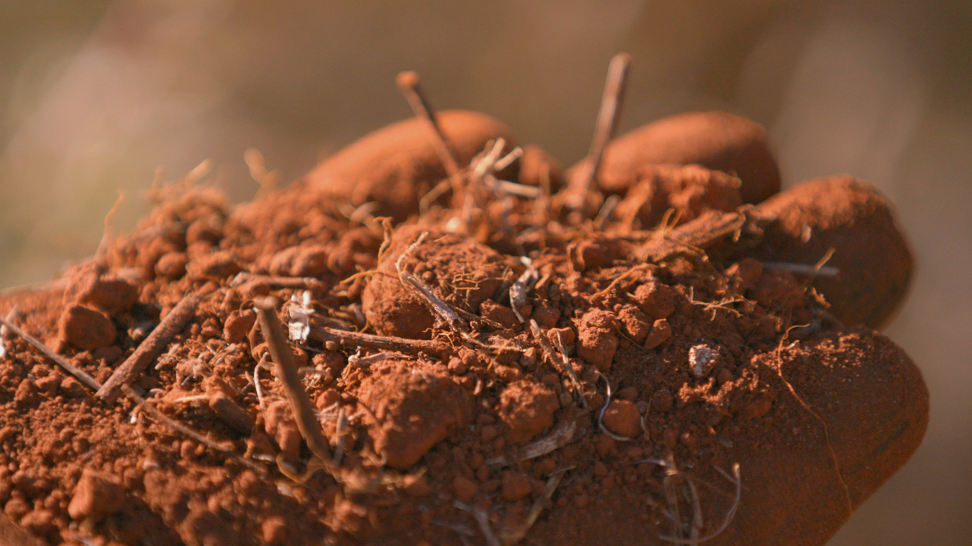 Red mud
