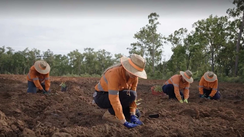 Weipa seed planting