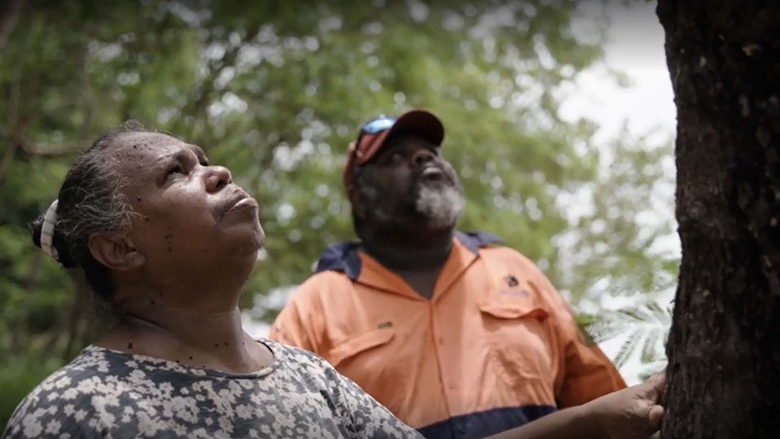 Weipa Traditional Owners