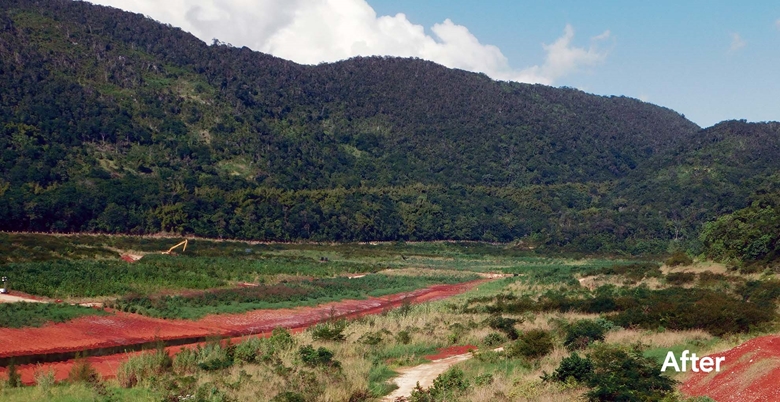 Mount Rosser rehabilitated landscape