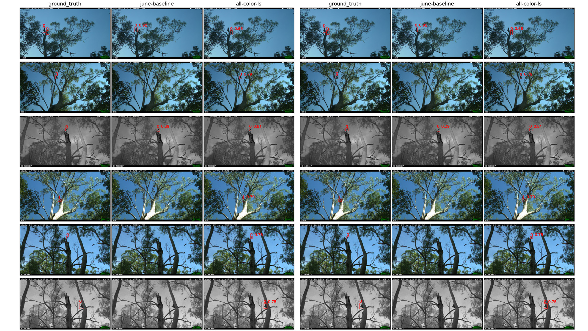Model Improvement using an object-detection model called YOLOv5