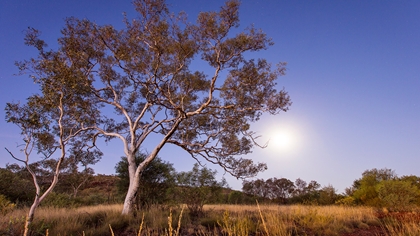 Landscape, Hope Downs, Pilbara Operations
