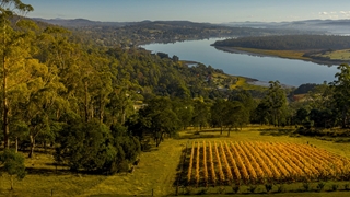 Partnering with the Tasmanian government