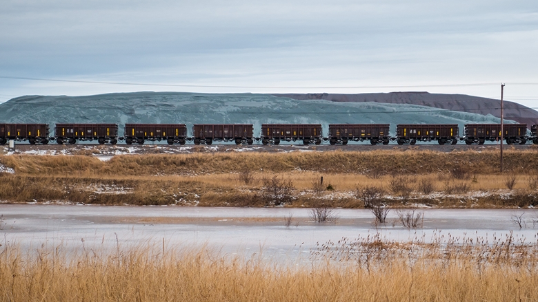 Train running past meadow