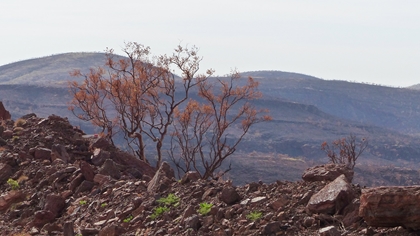 Landscape, Pilbara operations