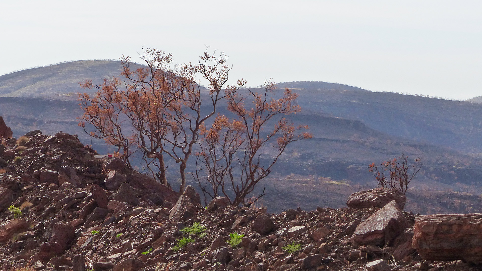 Landscape, Pilbara operations