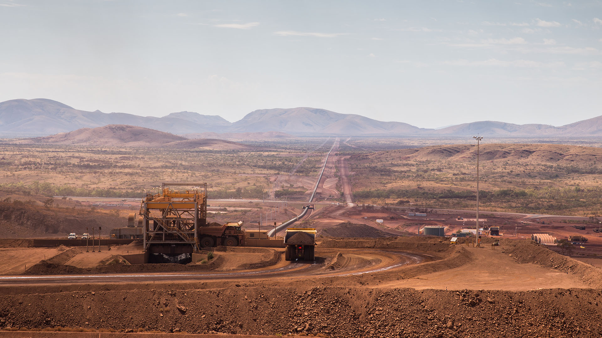 Pilbara plant