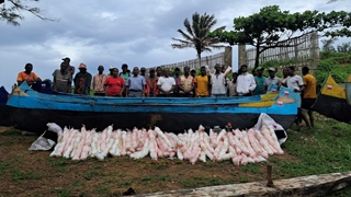 Picture of 3 wooden boats with paddles and group of fishermen