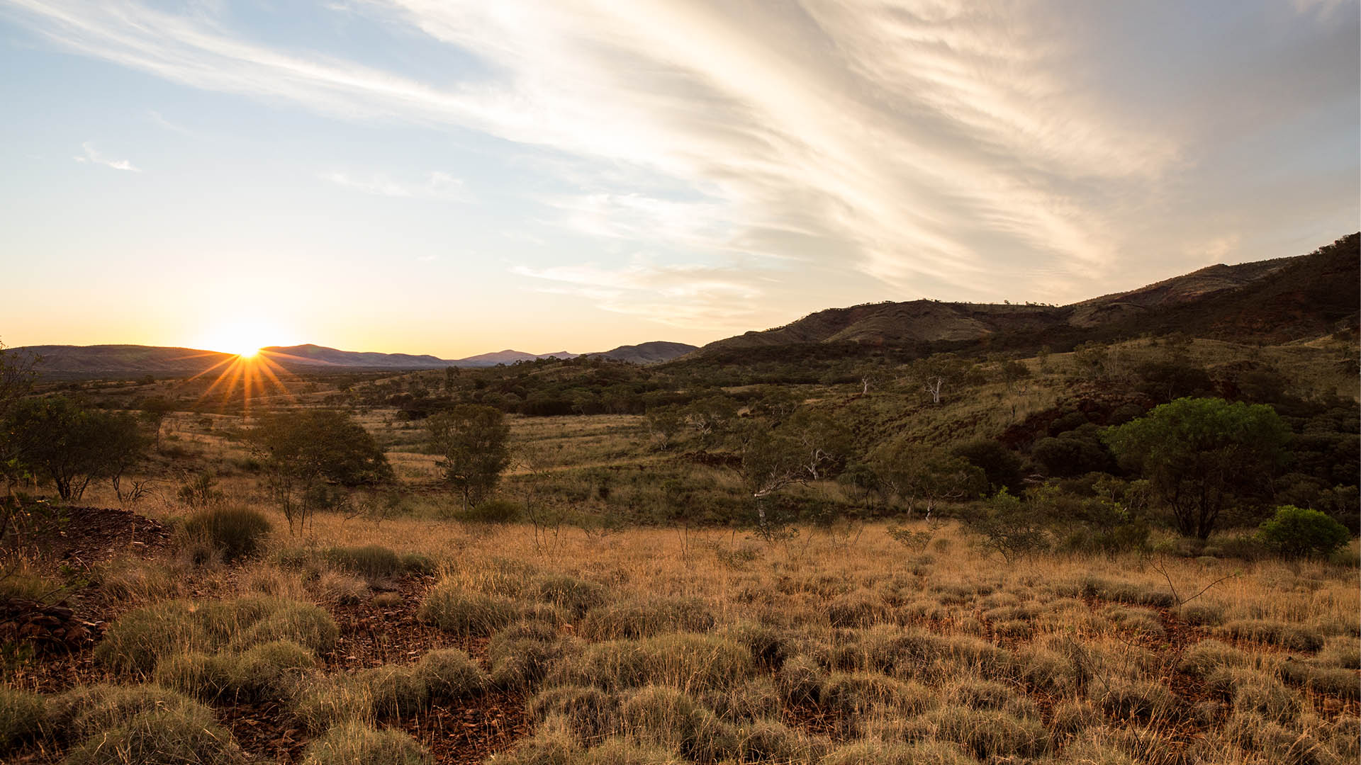Pilbara, West Angelas