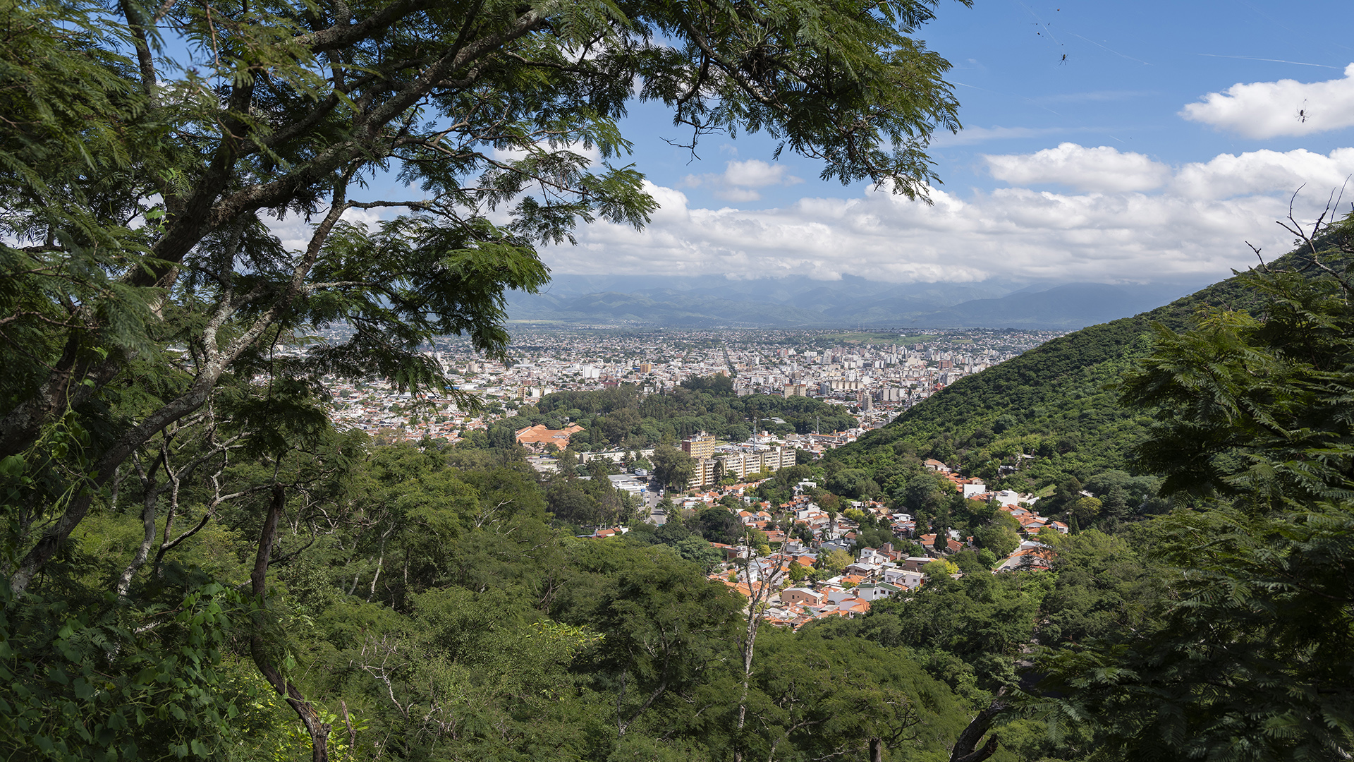 Salta city