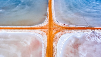 Dampier Salt
