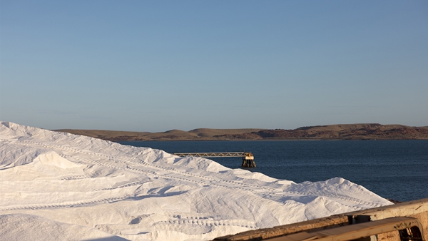 Dampier Salt