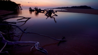 Driftwood branches scattered along the edge of a calm tidal inlet at dusk, with still water reflecting soft pink and purple tones from the sunset sky and a dark shoreline in the distance.