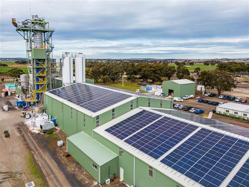 wave