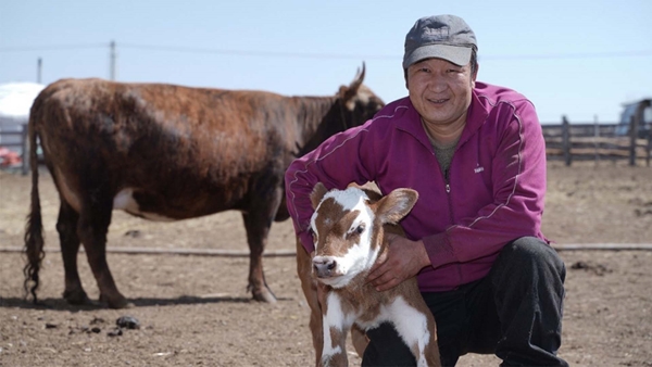 The Mongolia team helping local communities through the covid crisis