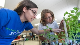 Image d’une enseignante guidant son jeune élève pour mesurer la hauteur de plantes sur une table.